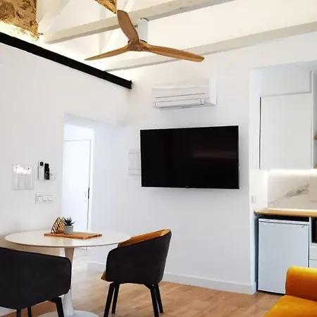 Manzano Palace. Y 30 M2 En La Plaza Mayor * Almagro
